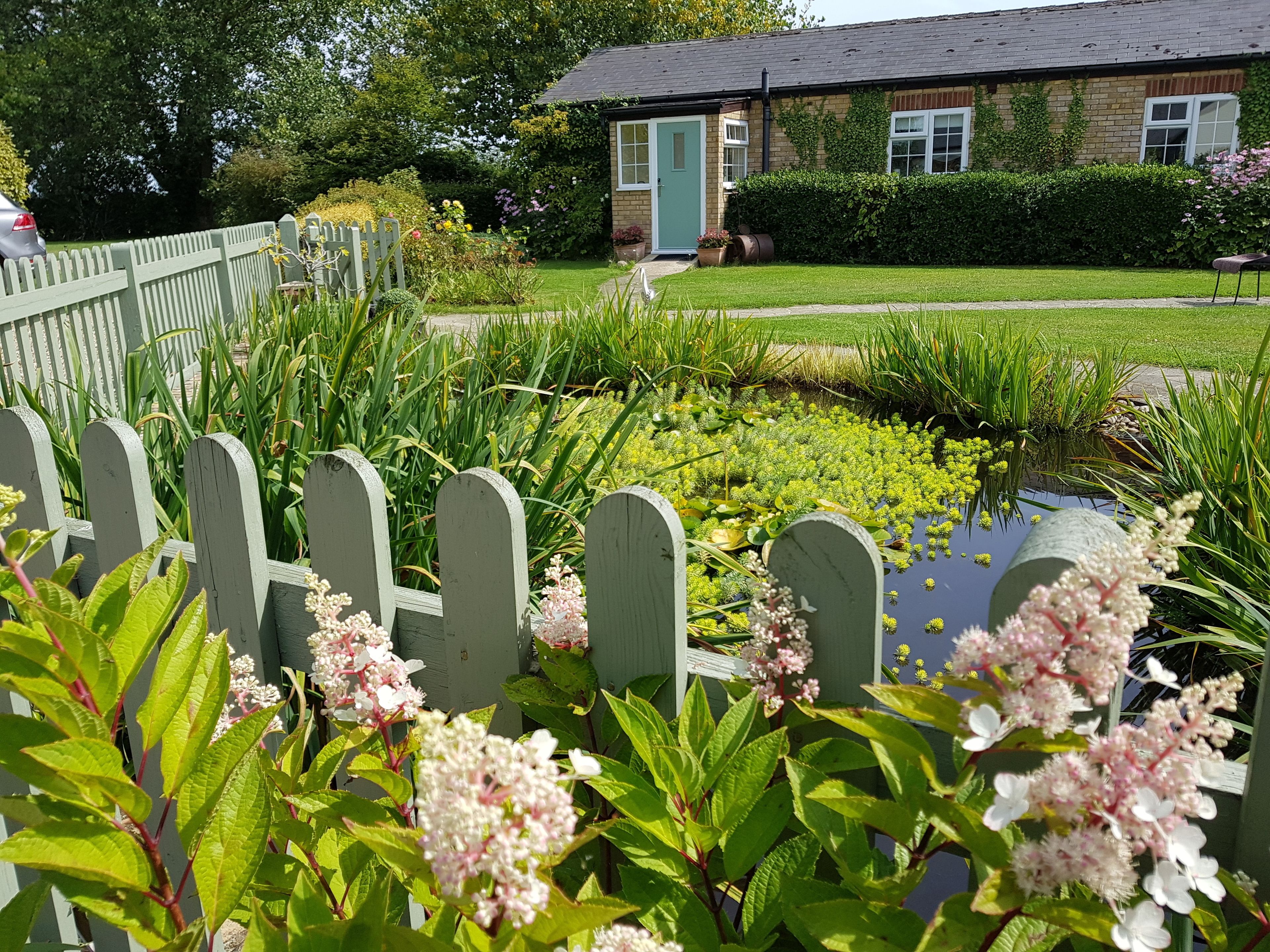 Deluxe Studio Suite, 1 King Bed, Jetted Tub, Garden Area | Property grounds