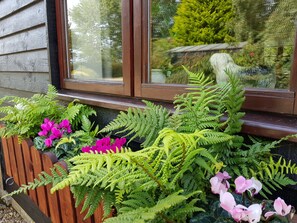 Cottage Tradizionale, 2 camere da letto, vista giardino, al piano terra | Vista giardino