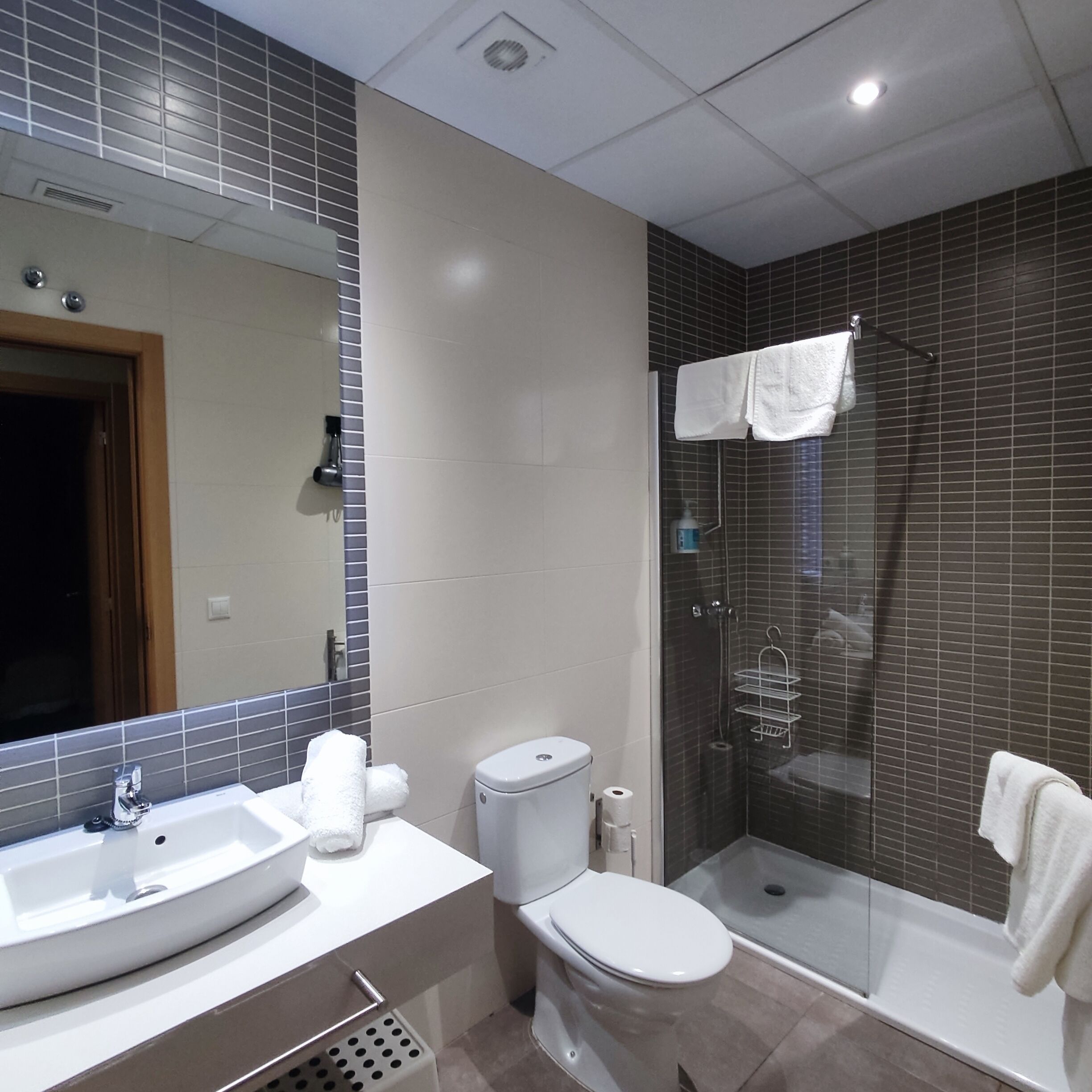Familie appartement | Badkamer | Een douche, een regendouche, een haardroger, handdoeken