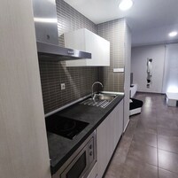 Apartamento básico | Cocina privada | Frigorífico grande, microondas, placa de cocina y cafetera o tetera