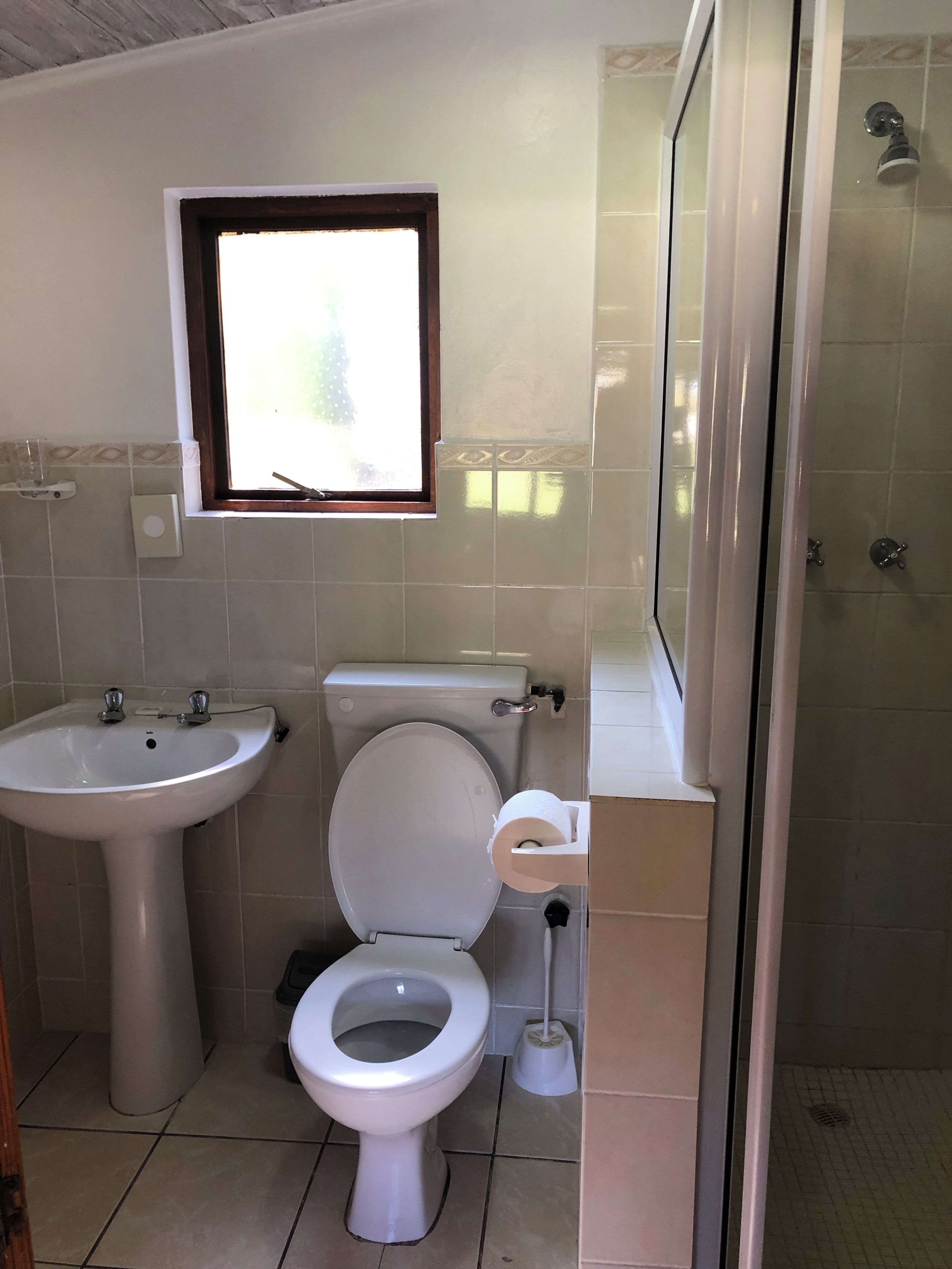 A bathroom with a toilet, sink, and shower.
