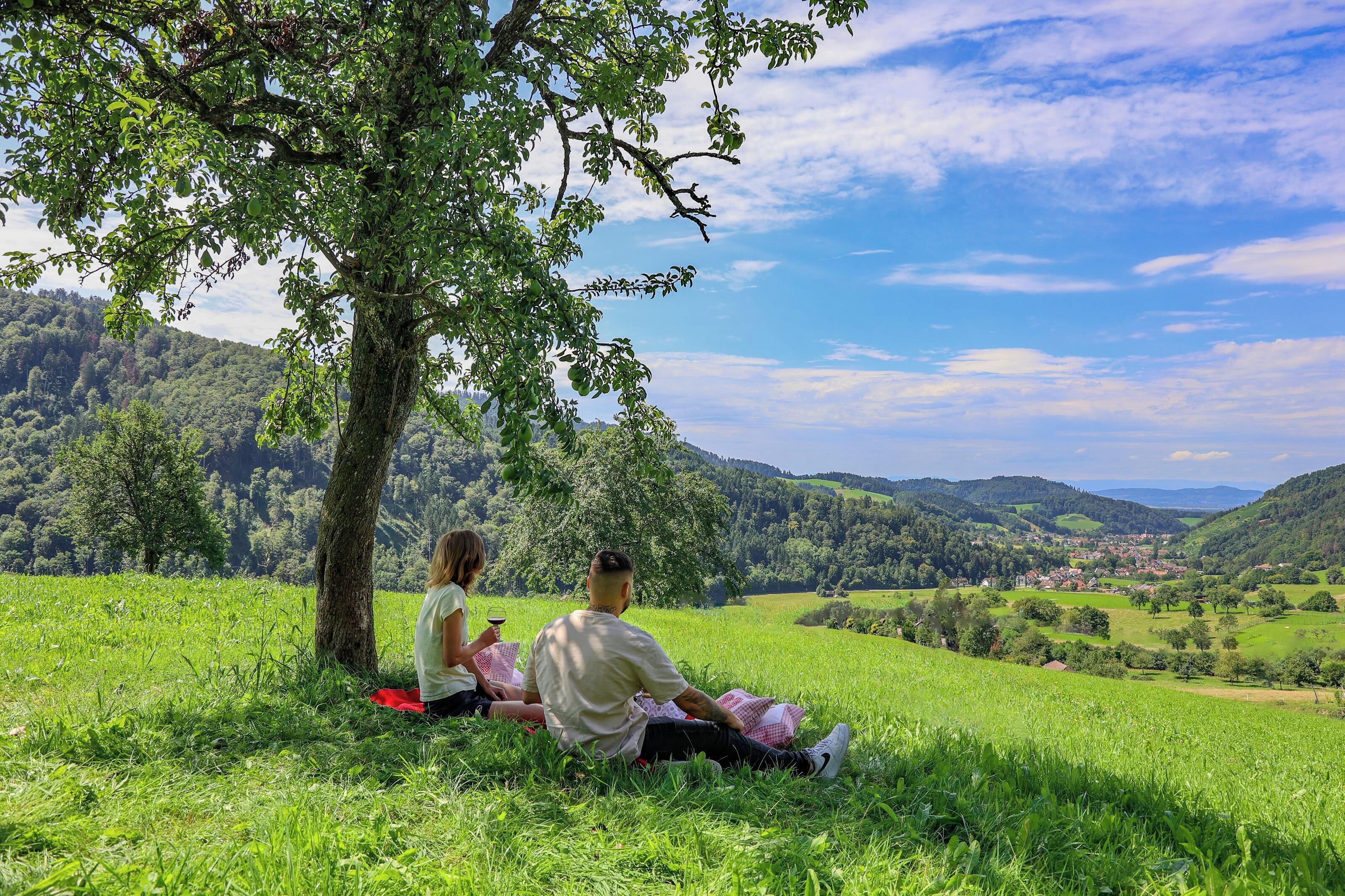 land view from property