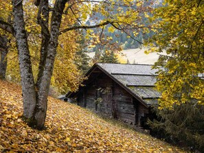 Exterior - Renovated Savoyard chalet, 10 pers, near slopes, pets allowed (La Clusaz)