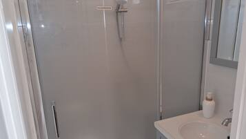 A modern bathroom with a glass-enclosed shower, a white sink, and a mirror above the sink.