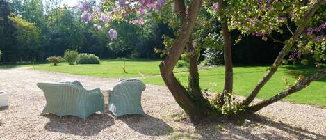 A gravel area with two wicker chairs and a tree with purple flowers.