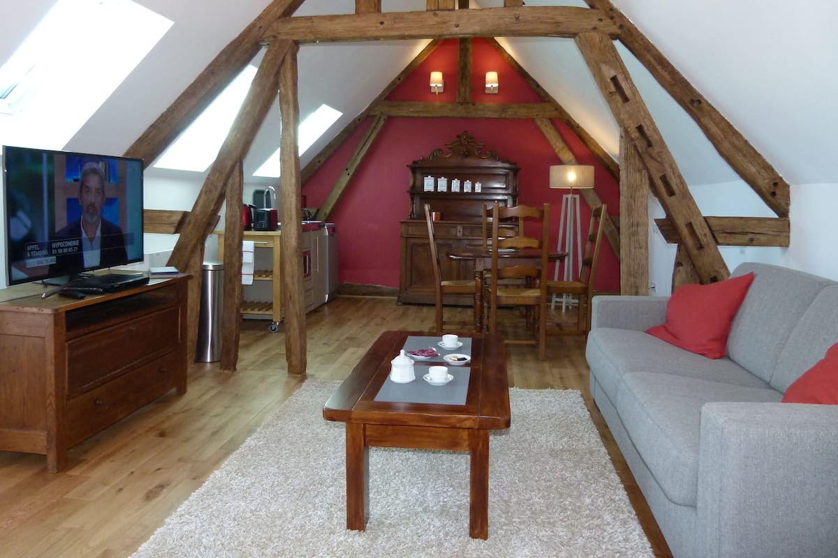 Penthouse, Kitchenette | Living area | Flat-screen TV, DVD player