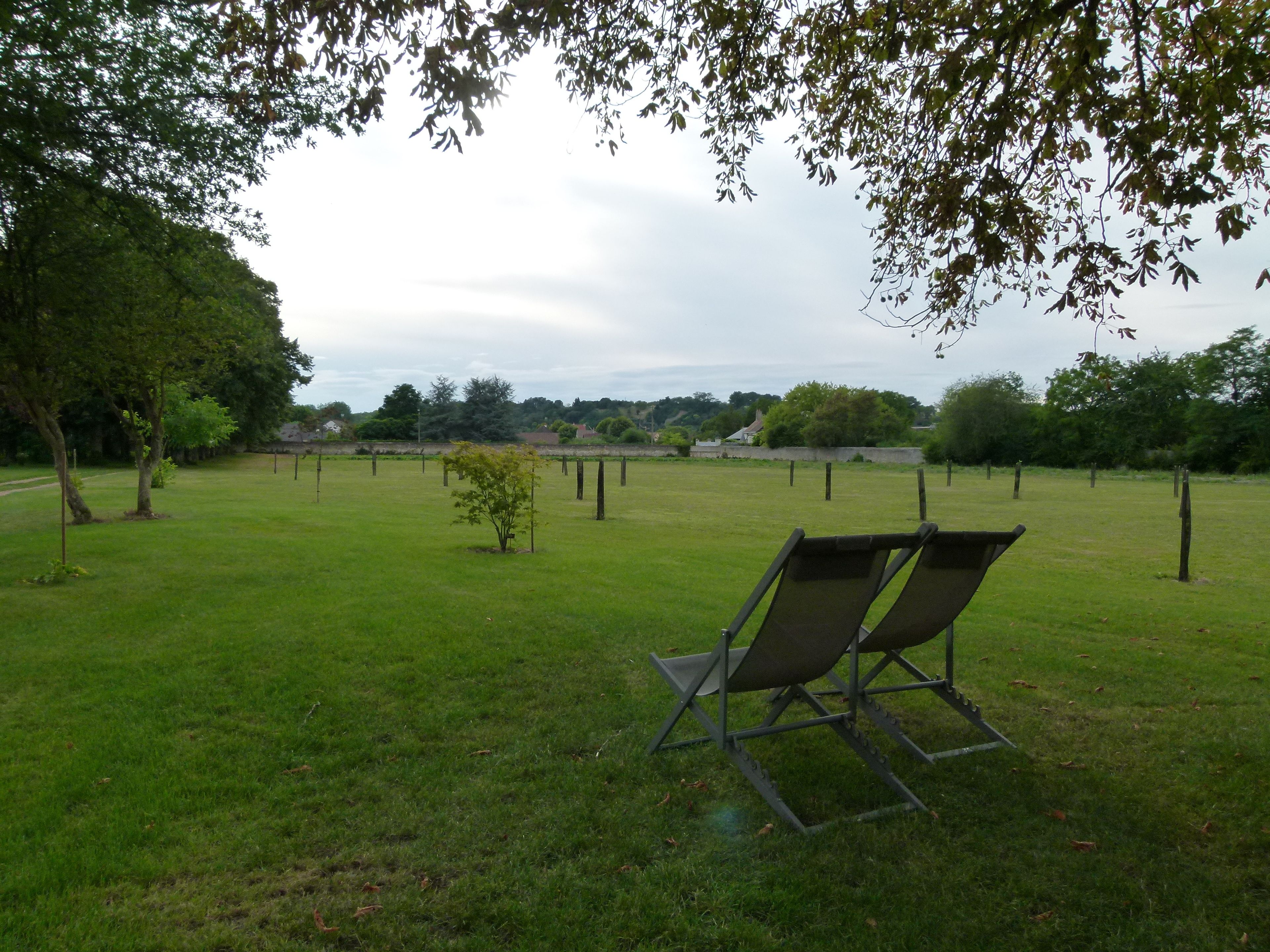 A grassy field with a few trees and a metal chair.