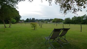 A grassy field with a few trees and a metal chair.