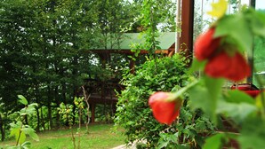 A garden with a wooden pergola, lush greenery, and a red rose in the foreground. - Karaca Dag Evleri (Basiskele)