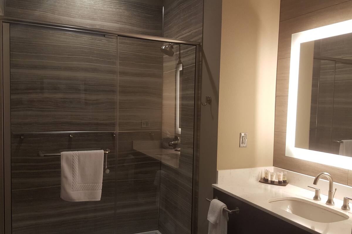 standard room, 1 king bed | bathroom | shower, rainfall showerhead, free toiletries, hair dryer