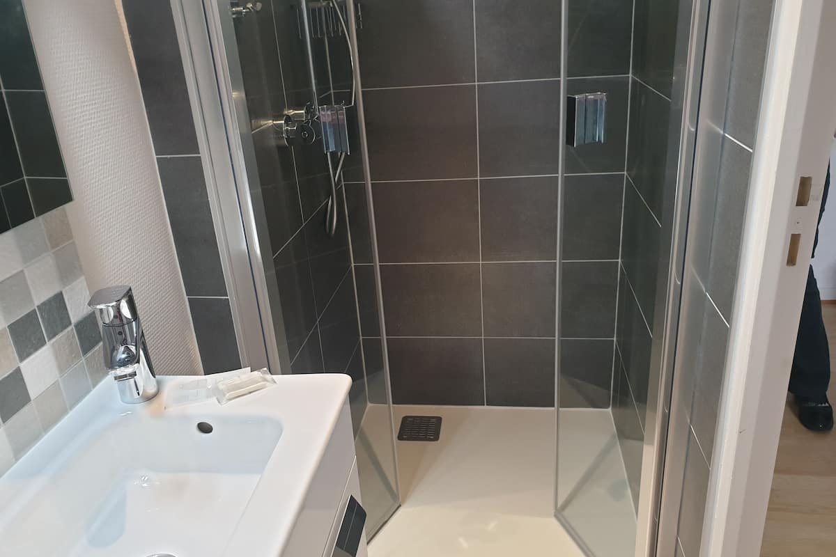 basic double room, non smoking | bathroom | shower, free toiletries, hair dryer, towels