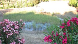 Un jardín con un estanque, rodeado de plantas florecientes de color rosa.