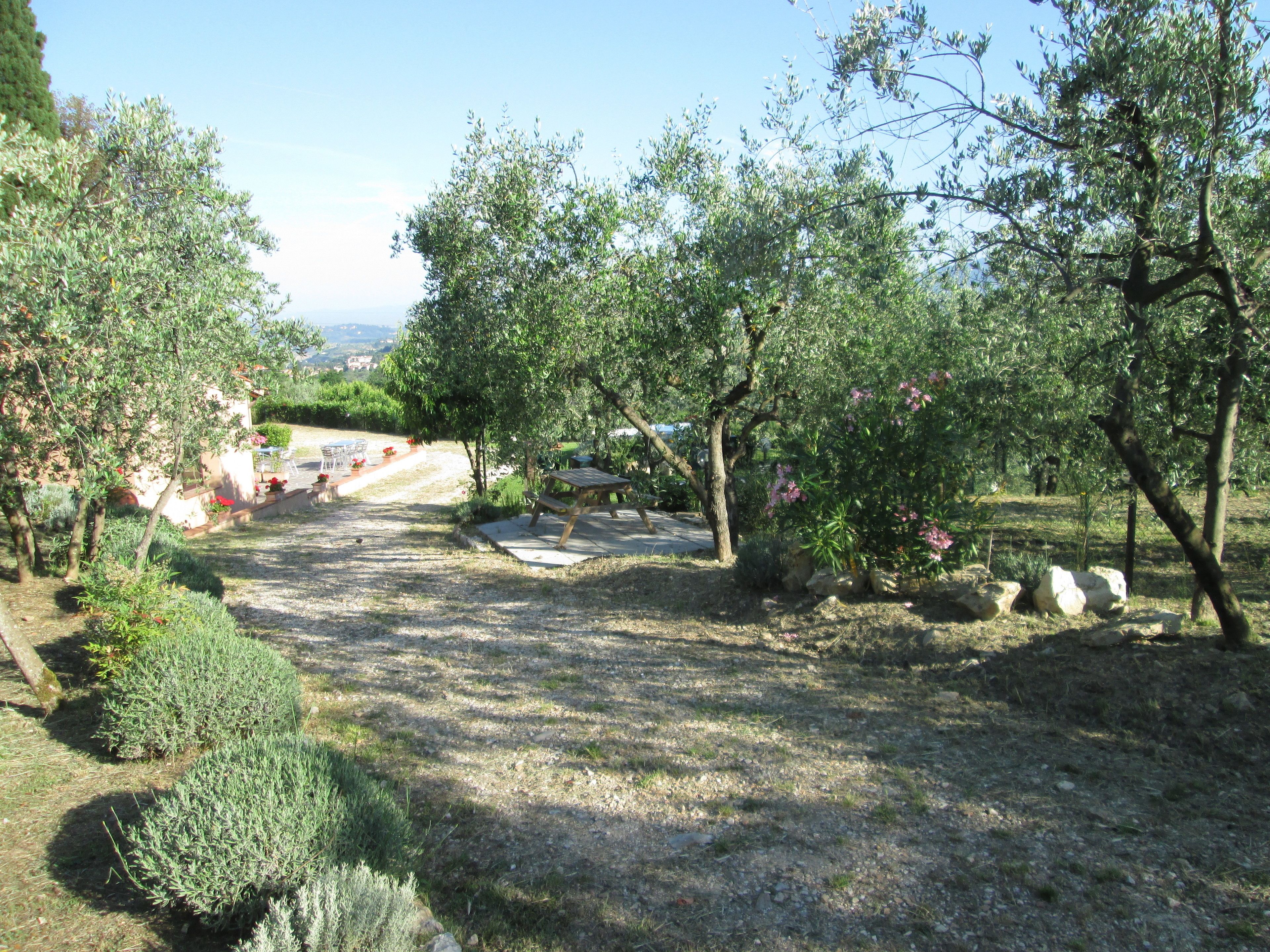 Ein Gartenbereich mit Kiesweg, verschiedenen Bäumen und einem Holztisch.
