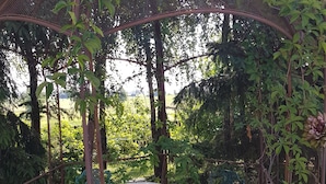 A garden with a pergola, a round table, and ornate green chairs. - Dworek Mazurski Lizer (Pozezdrze)