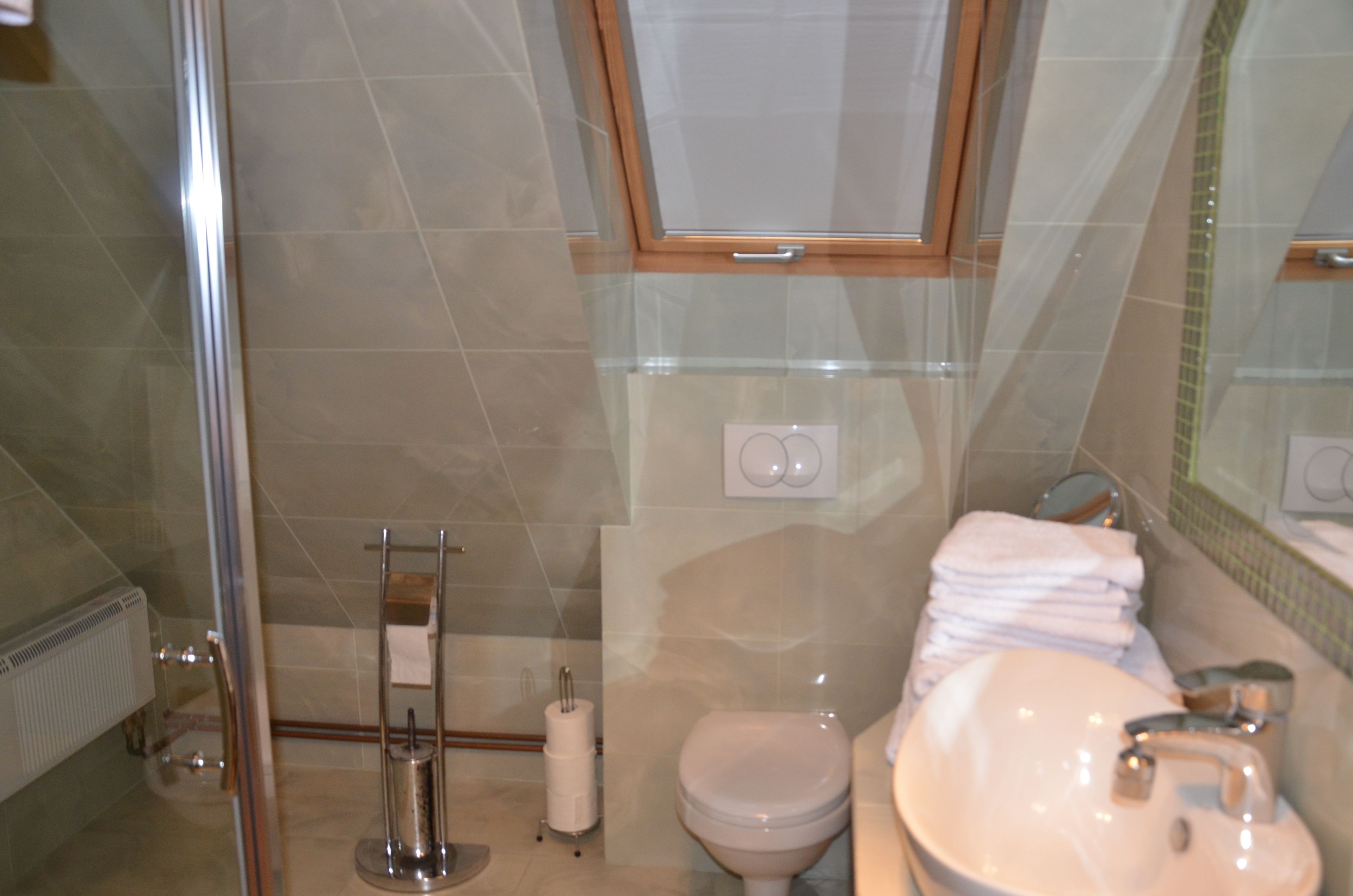 A bathroom with a glass shower enclosure, a toilet, a sink with a mirror, and a towel rack.