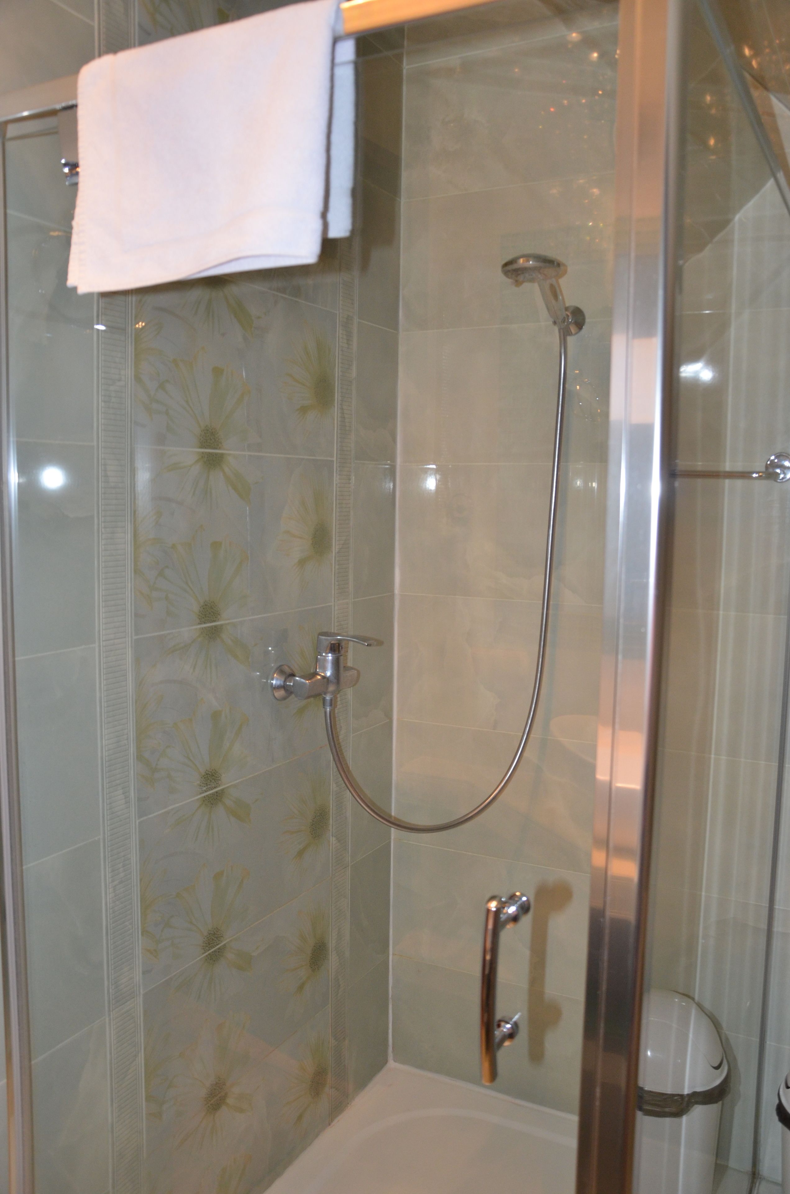A glass-enclosed shower with a handheld showerhead and a wall-mounted faucet.