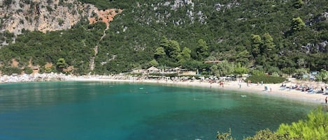 Ubicación cercana a la playa, tumbonas, sombrillas y bar en la playa