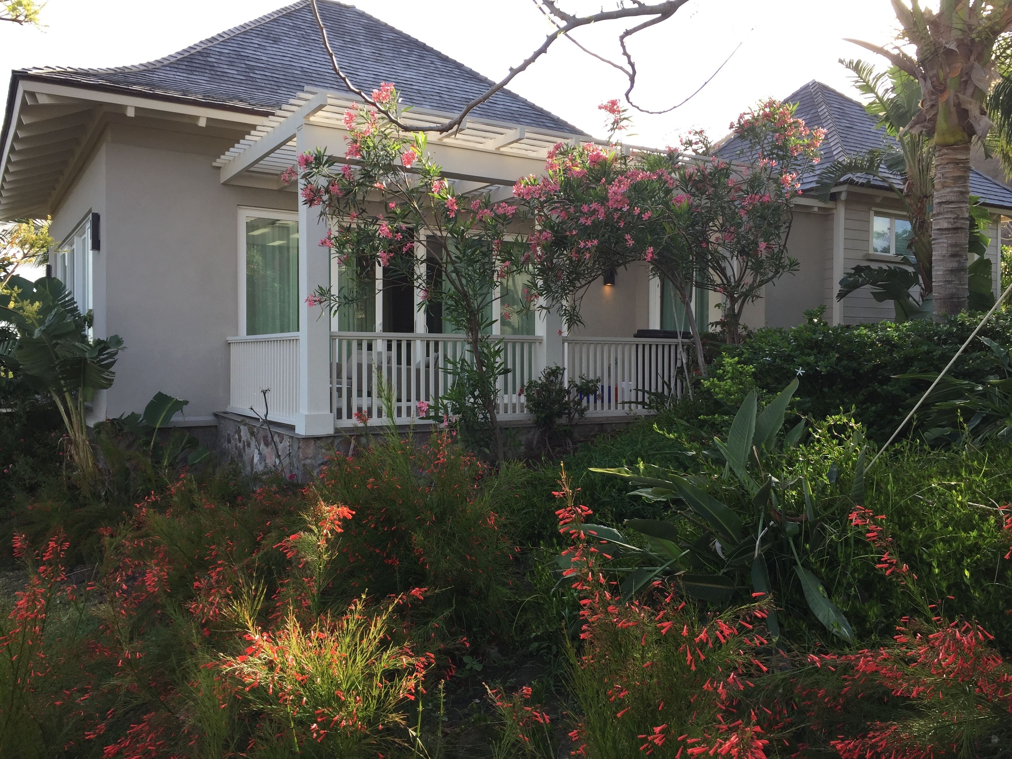 A house with a covered porch, surrounded by lush greenery and flowering plants.