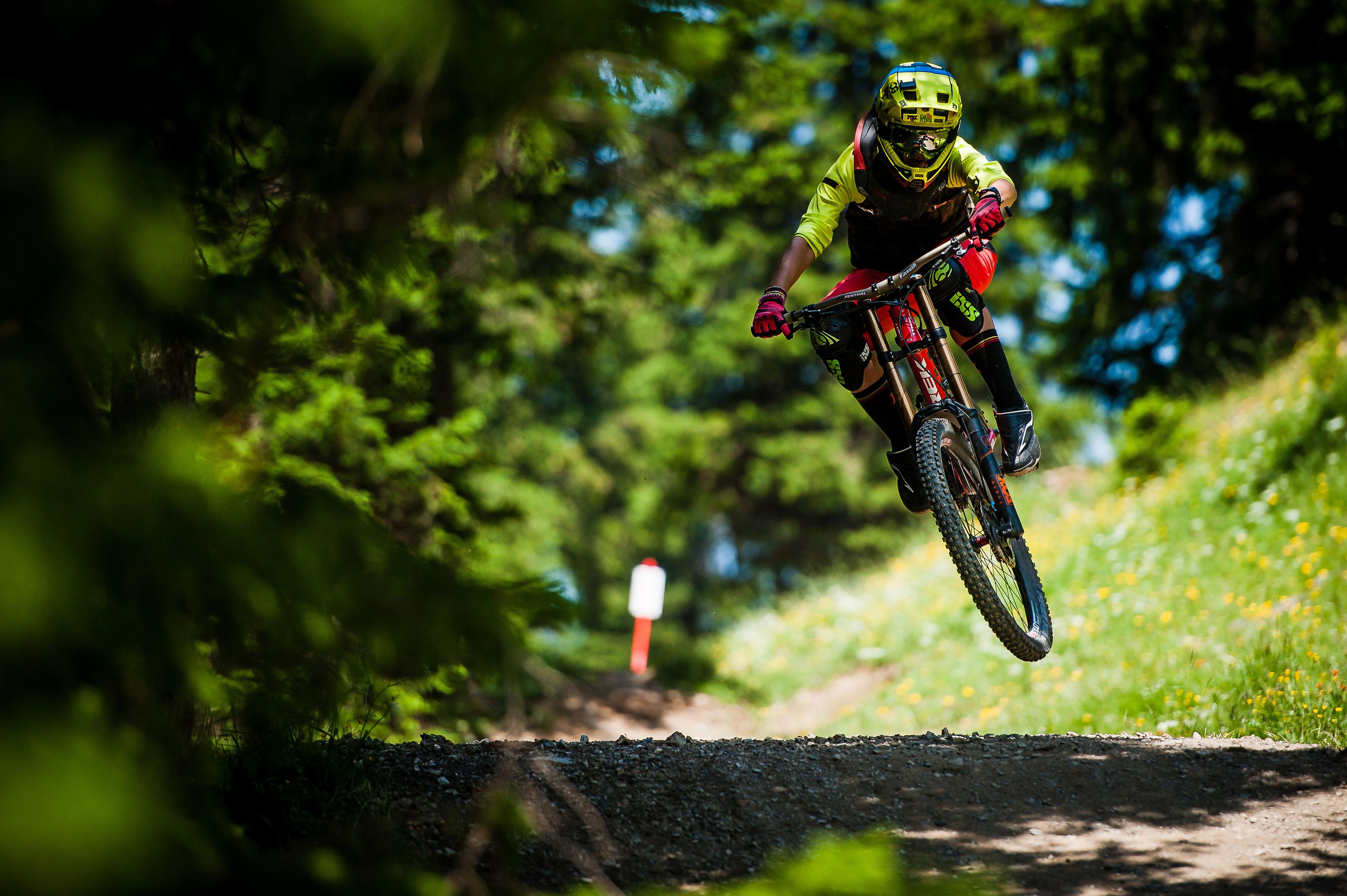 A mountain biker in mid-air on a dirt trail surrounded by dense greenery.