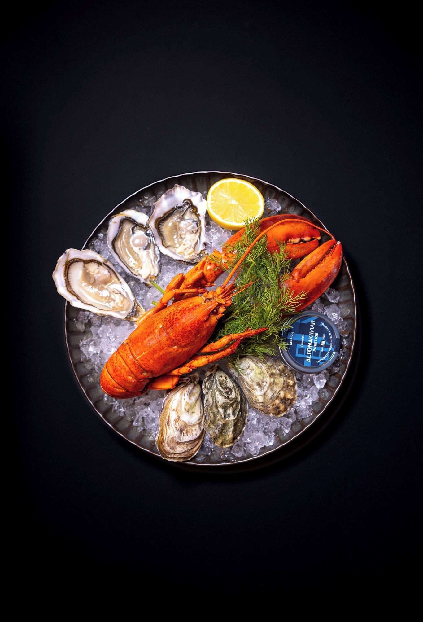 A lobster on a plate with ice, oysters, and a lemon slice.