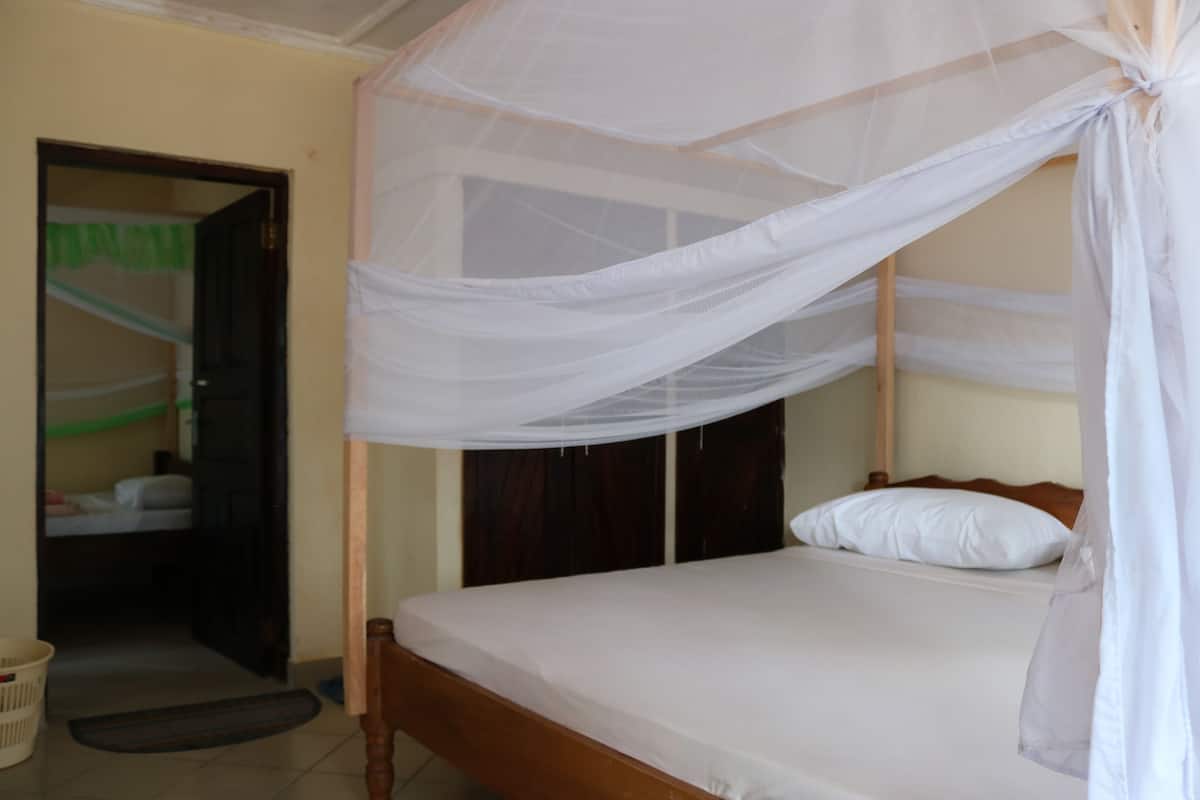 A single bed with a canopy, a wooden headboard, and a white mattress.