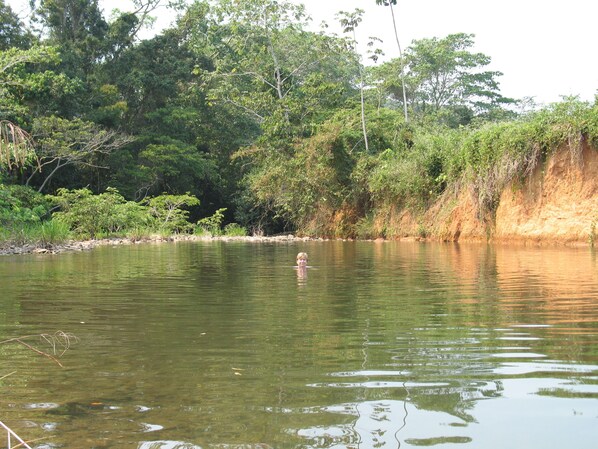 A natural landscape with a body of water, trees, and a rocky bank.