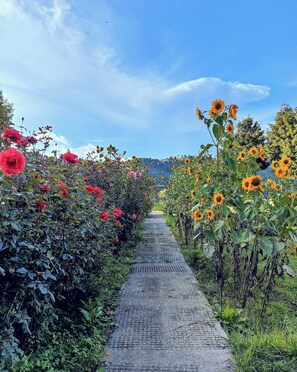 Fachada del alojamiento