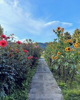 Fachada del alojamiento