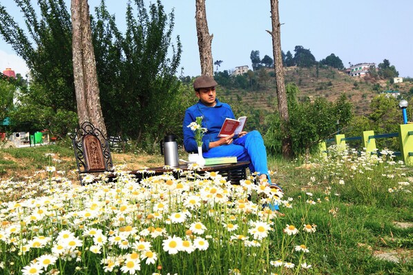 إطلالة على الحديقة