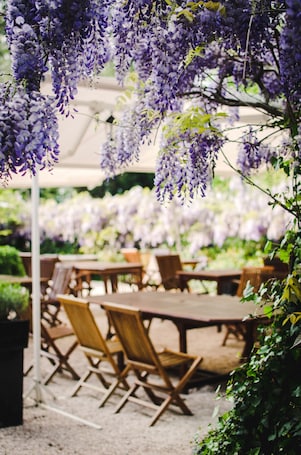 Terrace/patio. Chateau De Beauregard