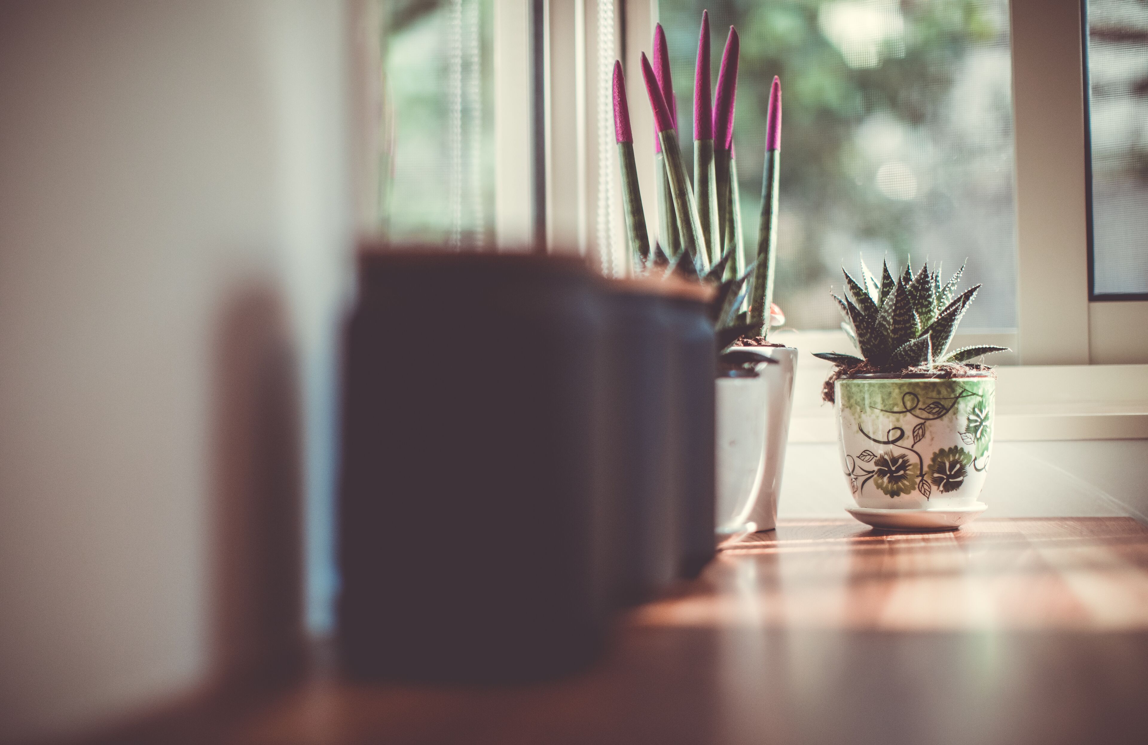 Una planta en maceta con una jardinera decorativa sobre una superficie de madera cerca de una ventana.
