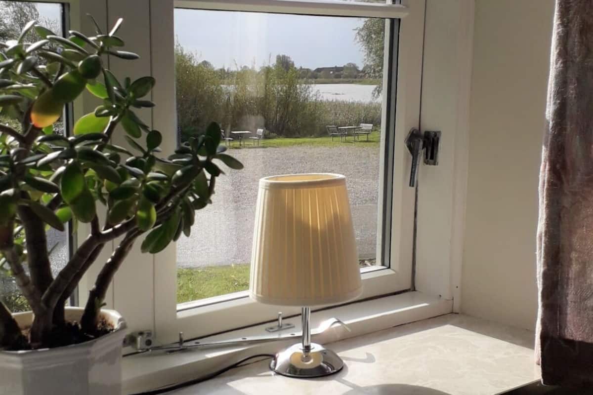Uma janela com vista para um lago, uma planta em vaso e um abajur.