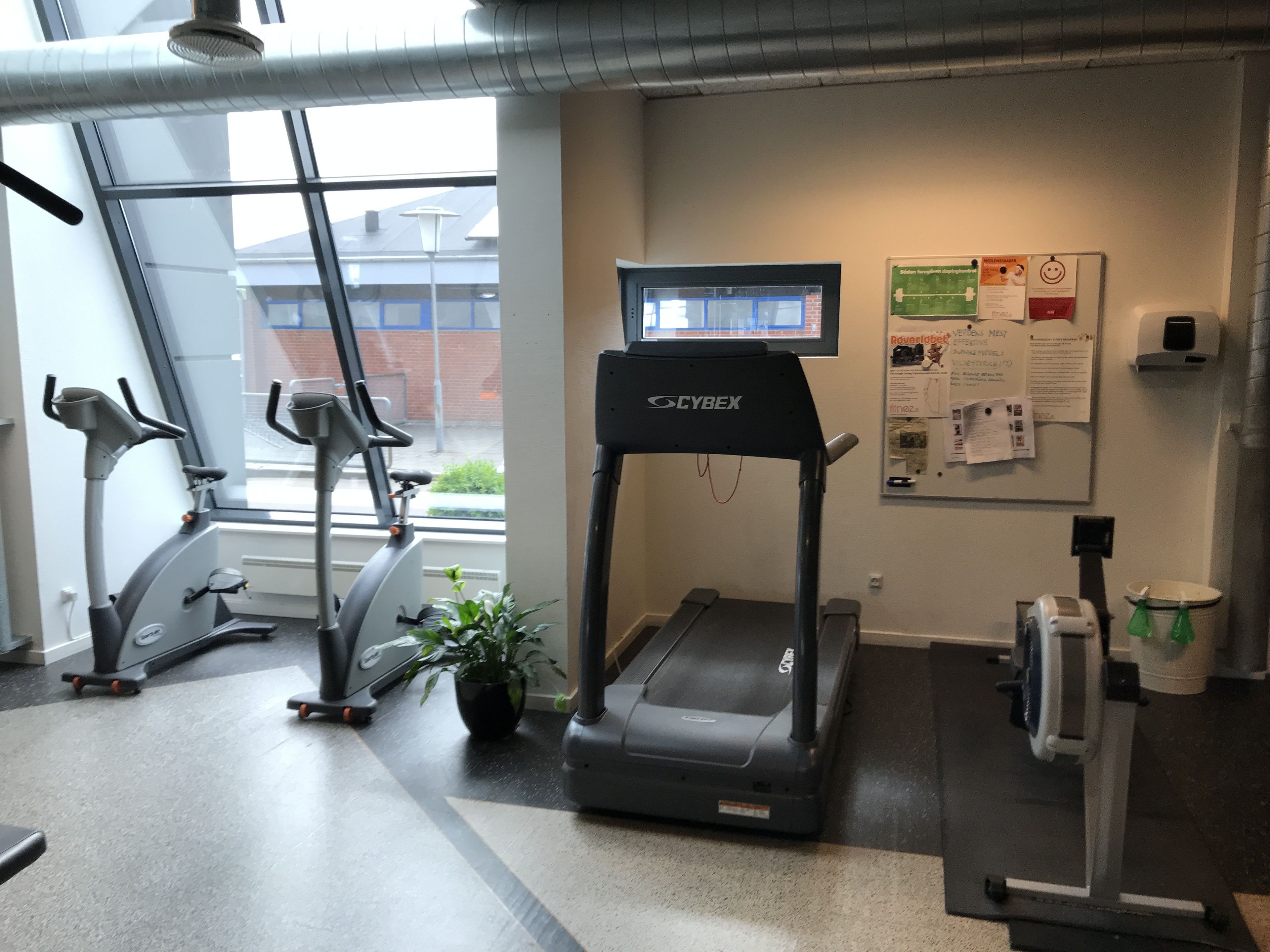 A gym with treadmills, stationary bikes, and a wall-mounted screen.