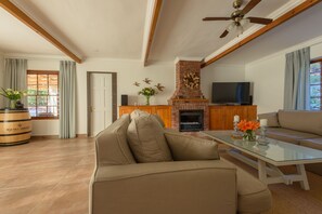 Téléviseur connecté, foyer, chaîne audio