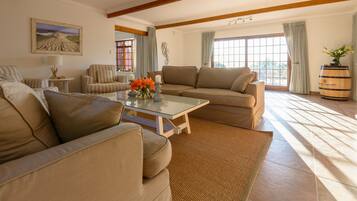 Smart TV, fireplace, stereo