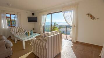 TV connectée, cheminée, chaßne hi-fi