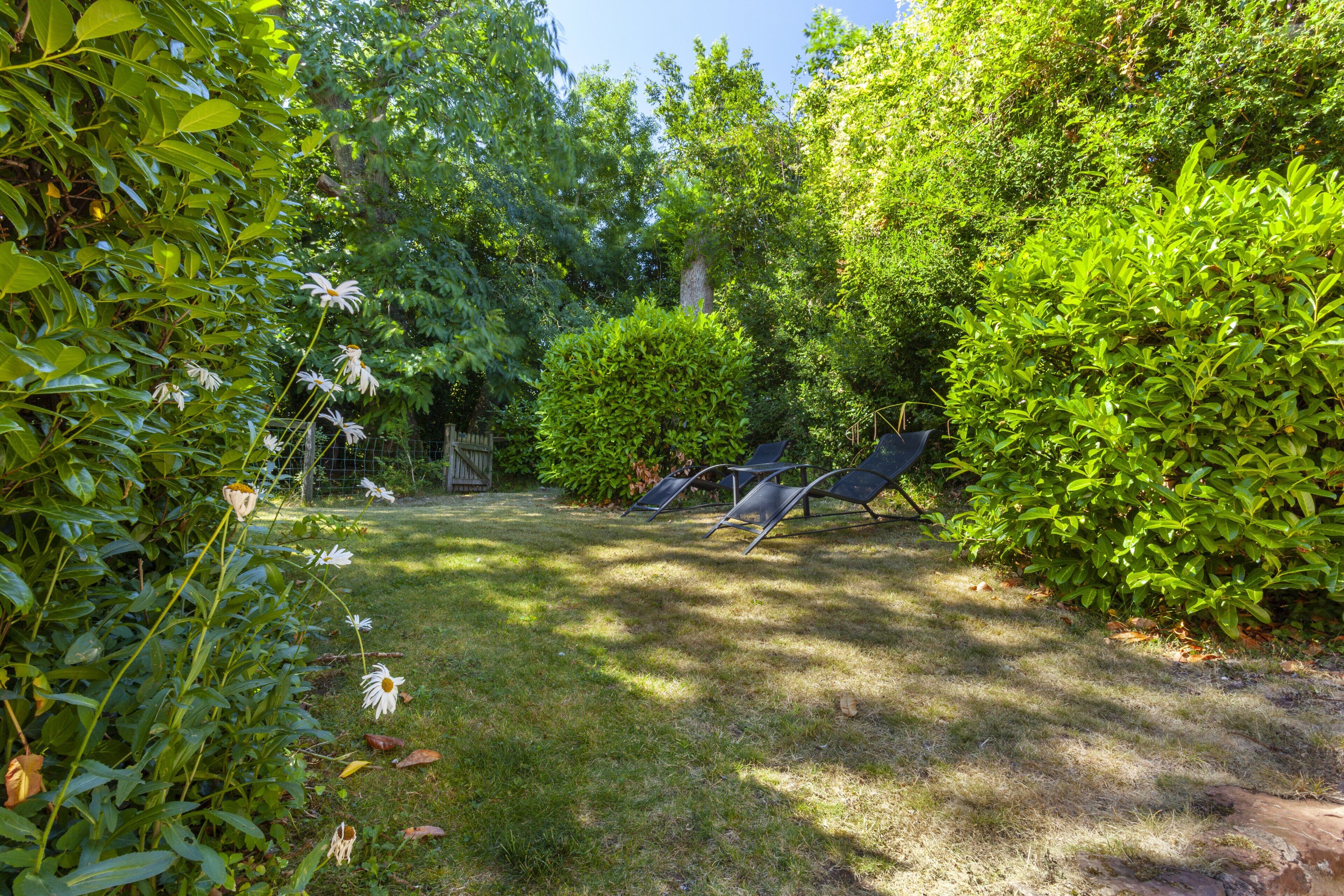 Un jardín con césped, una cerca y una silla.