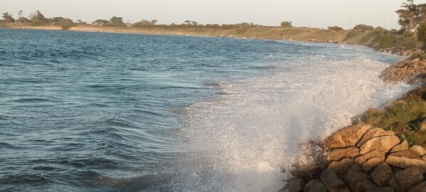 A coastal scene with waves crashing onto a rocky shore. - Stone face character house island of Batz 70m from the beach. (Santec)