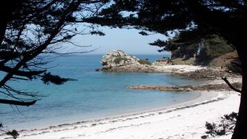 On the beach, sun-loungers