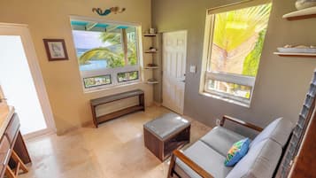 Smart TV, DVD player, books, stereo