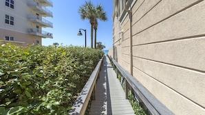 Un chemin bordé d’une végétation luxuriante et un bâtiment à la façade aux textures marquées.