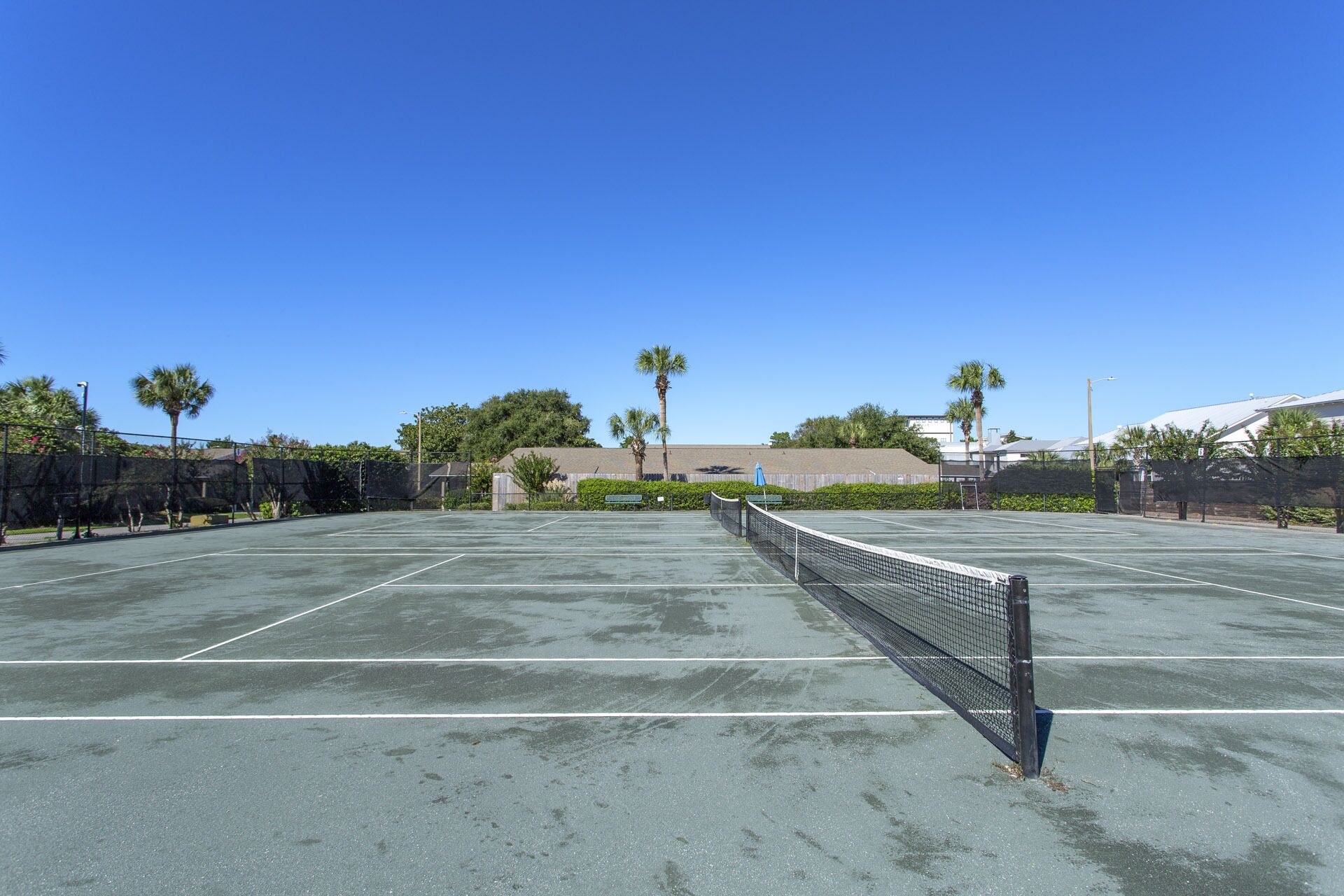 Un court de tennis en plein air, doté d’un filet, entouré de palmiers et surplombé d’un ciel bleu azur.