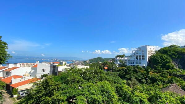 Un paysage urbain côtier avec des bâtiments modernes, une végétation luxuriante et un ciel bleu dégagé.