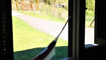 الإطلالة من المنشأة