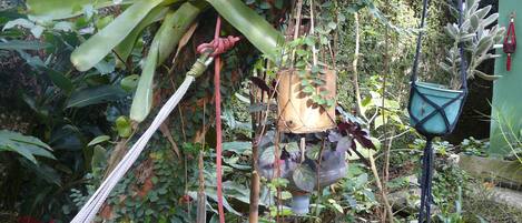 Un exuberante jardín con diversas plantas y una hamaca.