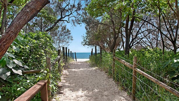 A sandy path leading to a beach, surrounded by greenery and wooden fencing. - 20 Steps to the Sand! - Beachfront Apartment! No Roads to Cross (Mooloolaba)