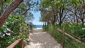 A sandy path leading to a beach, surrounded by greenery and wooden fencing.
