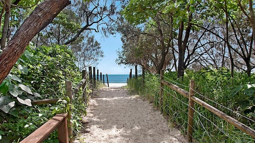 20 Steps to the Sand! - Beachfront Apartment! No Roads to Cross