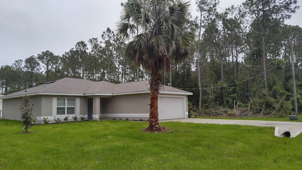 A single-story house with a garage, surrounded by a well-maintained lawn and a tall palm tree.