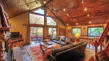TV, fireplace, DVD player, books